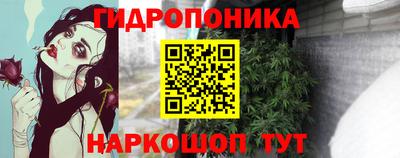 spice Свободный